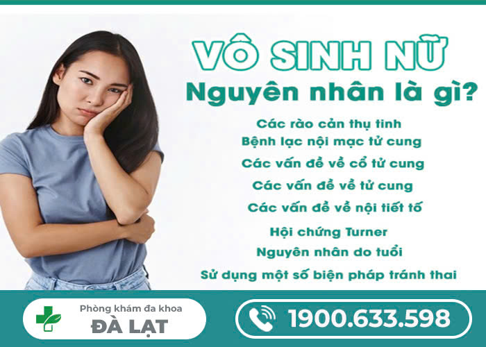 Hình ảnh minh họa